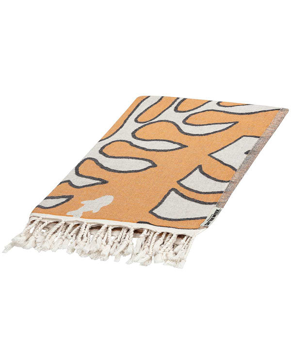 Monstera Shark Large – Discovery