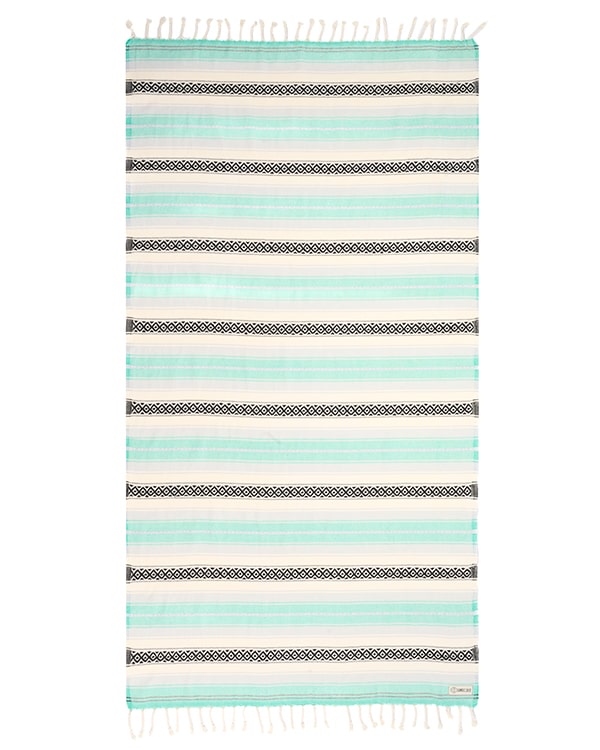 Variegated Whale Shark Navy