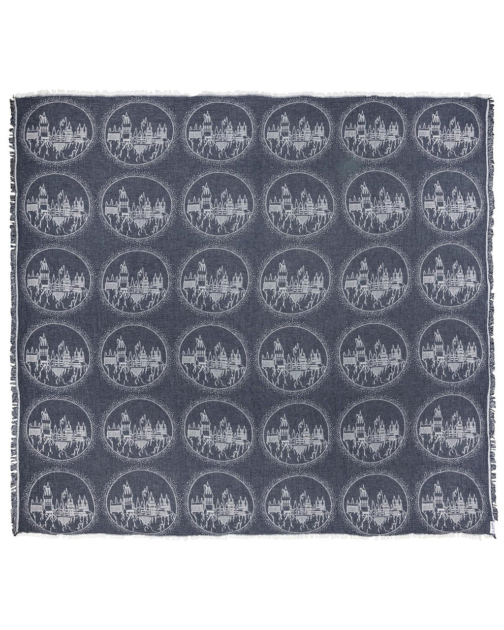 Harry Potter™ Winged Keys – PARTY BLANKET™