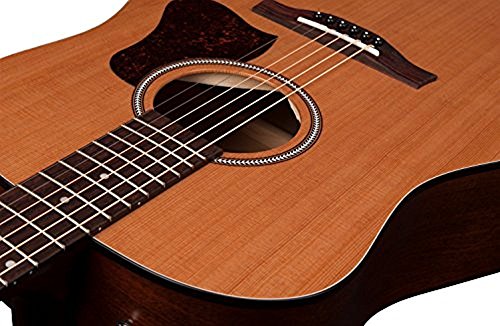 Seagull S6 Original Acoustic Guitar - UZIS Sports