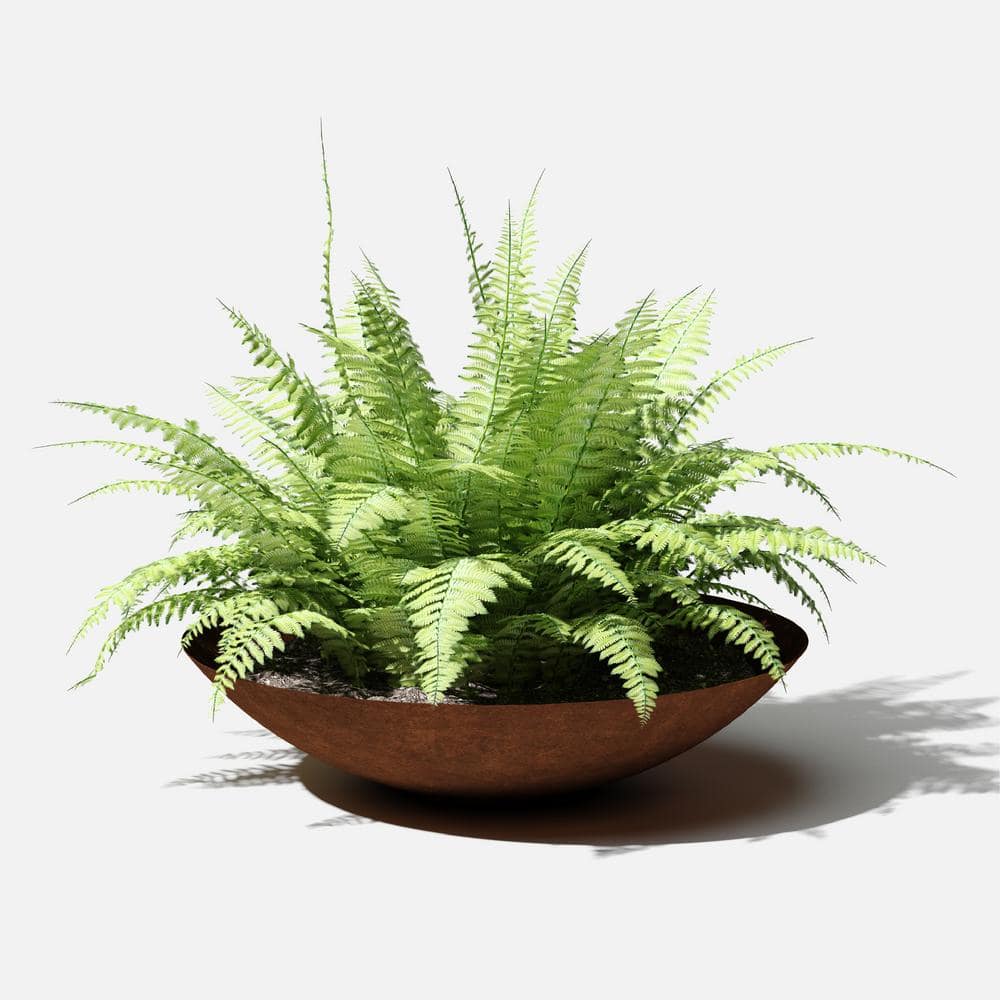 Veradek Rust Bowl 32 in. Corten Steel Metal Round Planter RBV32RS - UZIS Sports