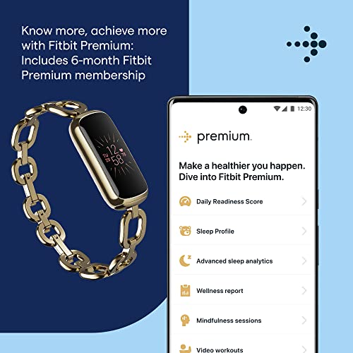 Fitbit Wellness Stainless Bracelet Included - UZIS Sports