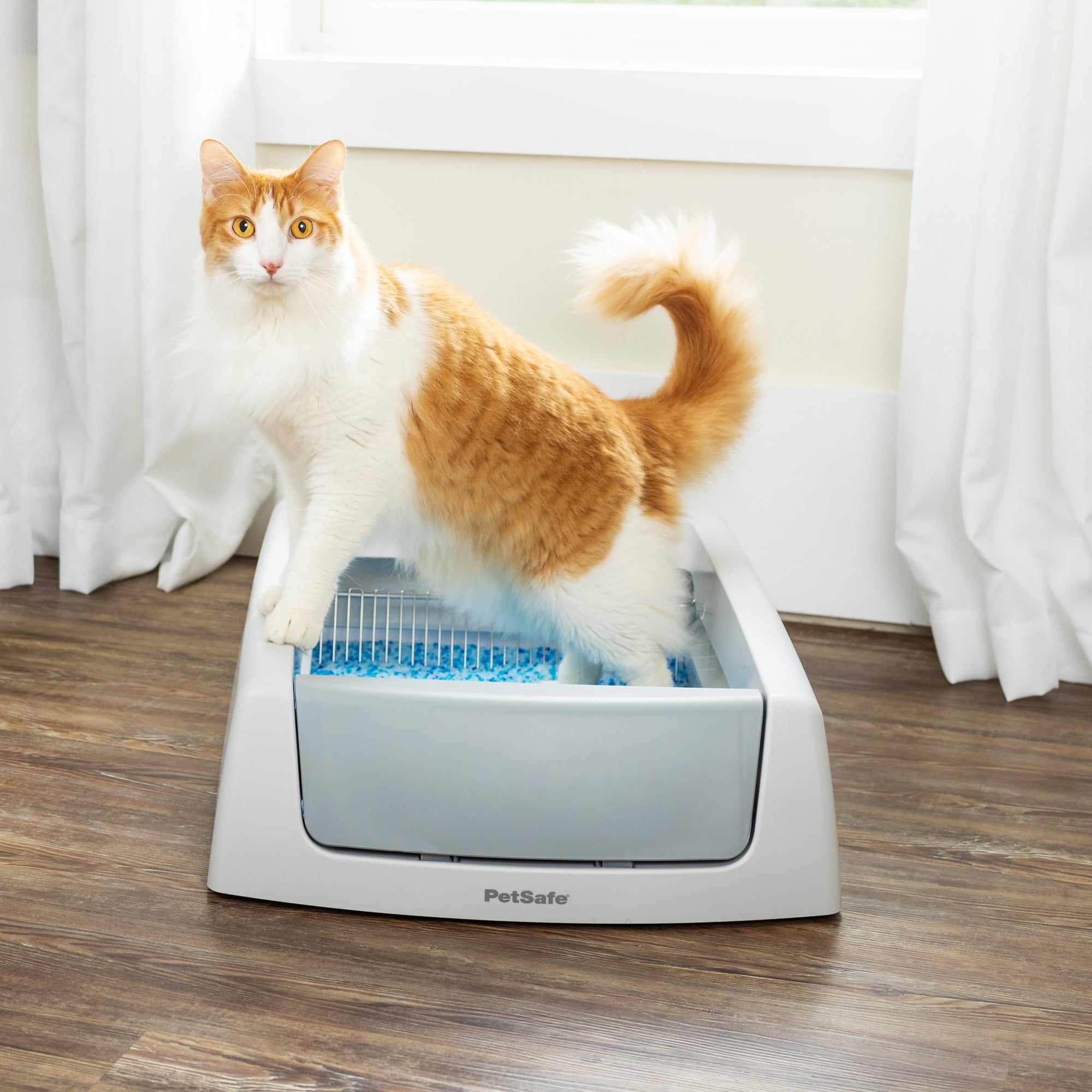 ScoopFree Complete Self-Cleaning Litter Box - No Scooping Required - Unbeatable Odor Control - UZIS Sports