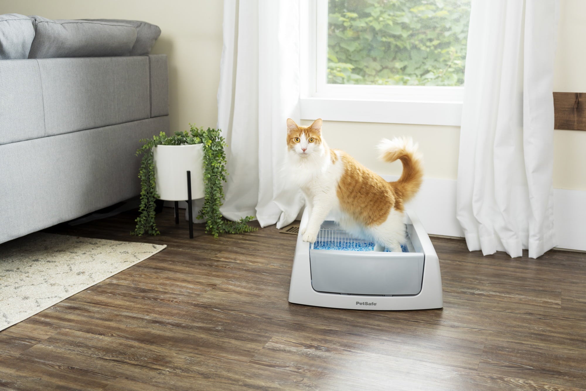 ScoopFree Complete Self-Cleaning Litter Box - No Scooping Required - Unbeatable Odor Control - UZIS Sports