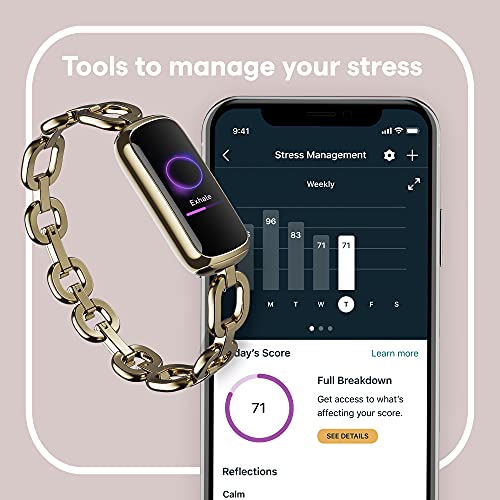 Fitbit Wellness Stainless Bracelet Included - UZIS Sports