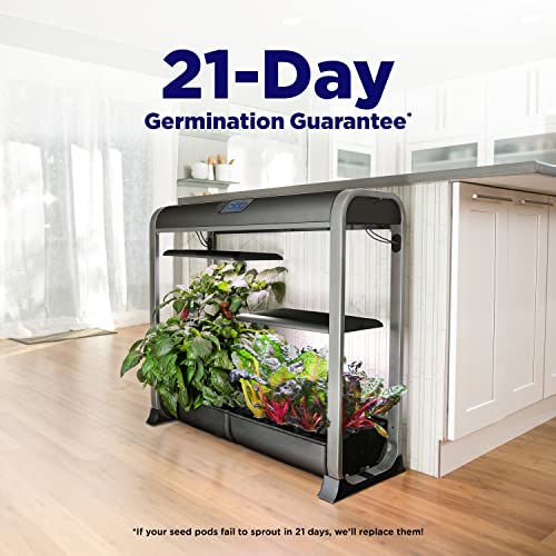 AeroGarden Farm 24Plus Salad Black - UZIS Sports