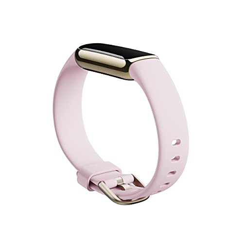 Fitbit Wellness Stainless Bracelet Included - UZIS Sports