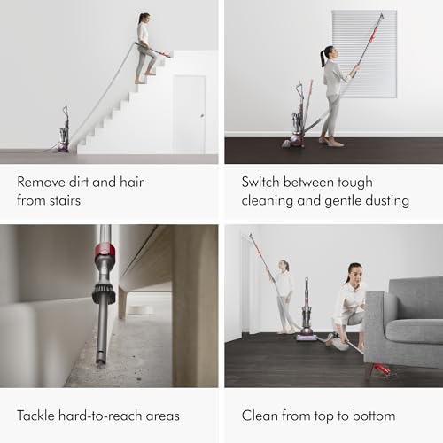 Dyson Animal Upright Vacuum Nickel - UZIS Sports