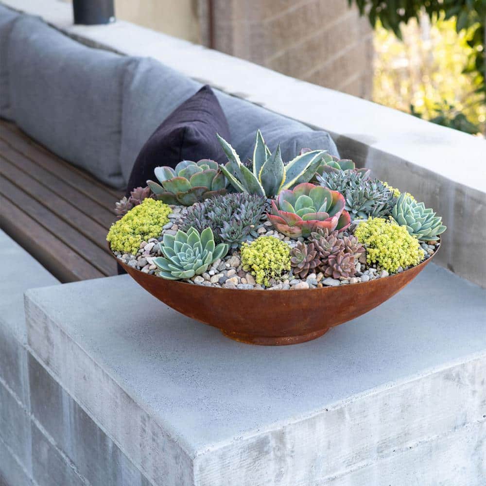 Veradek Rust Bowl 32 in. Corten Steel Metal Round Planter RBV32RS - UZIS Sports