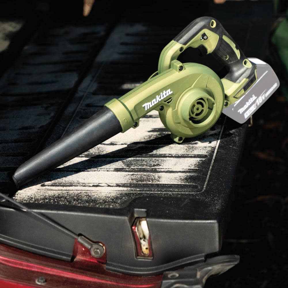 Outdoor Adventure 18V LXT Blower ADBU05Z from - UZIS Sports