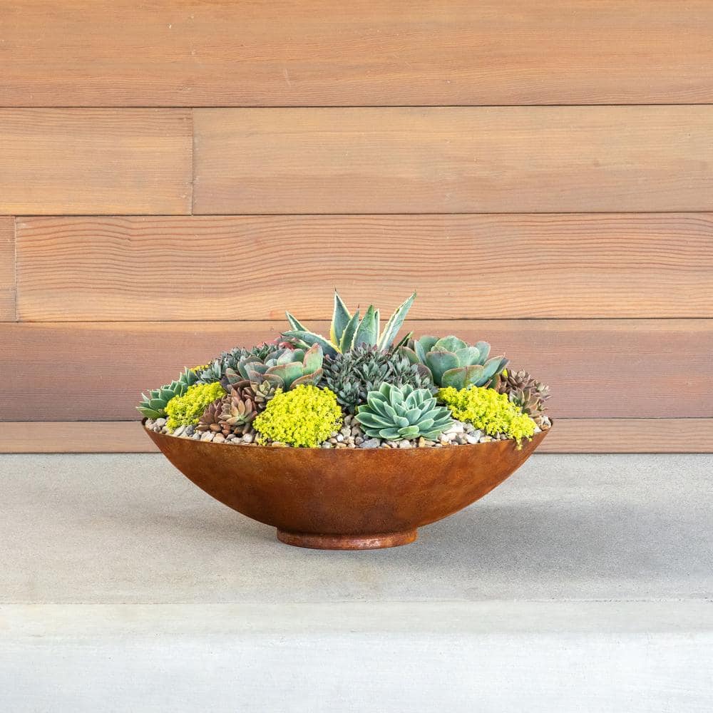 Veradek Rust Bowl 32 in. Corten Steel Metal Round Planter RBV32RS - UZIS Sports