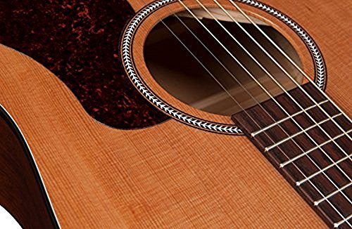 Seagull S6 Original Acoustic Guitar - UZIS Sports
