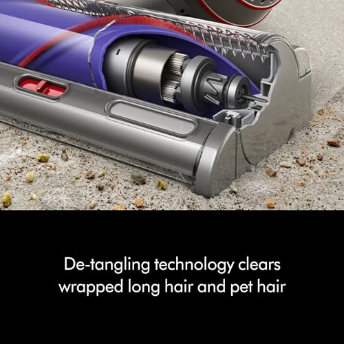 Dyson Animal Upright Vacuum Nickel - UZIS Sports