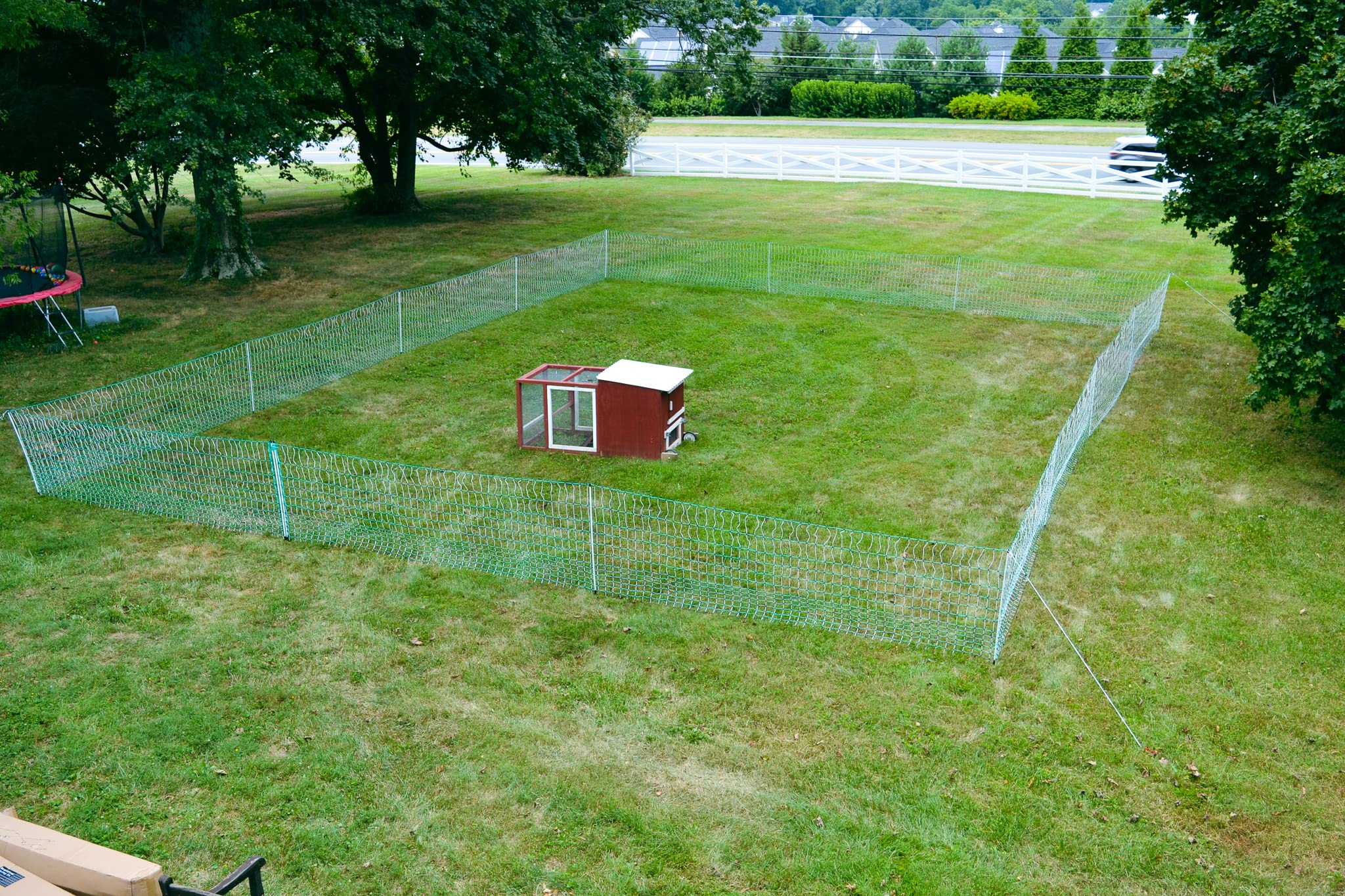 RentACoop Electric Anti-Predator Poultry Fence - UZIS Sports