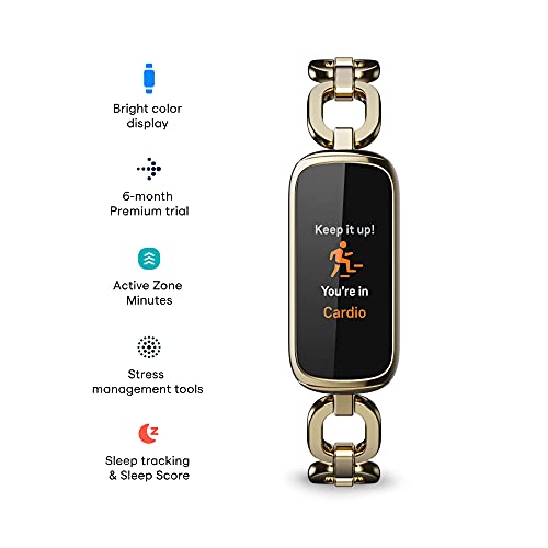Fitbit Wellness Stainless Bracelet Included - UZIS Sports