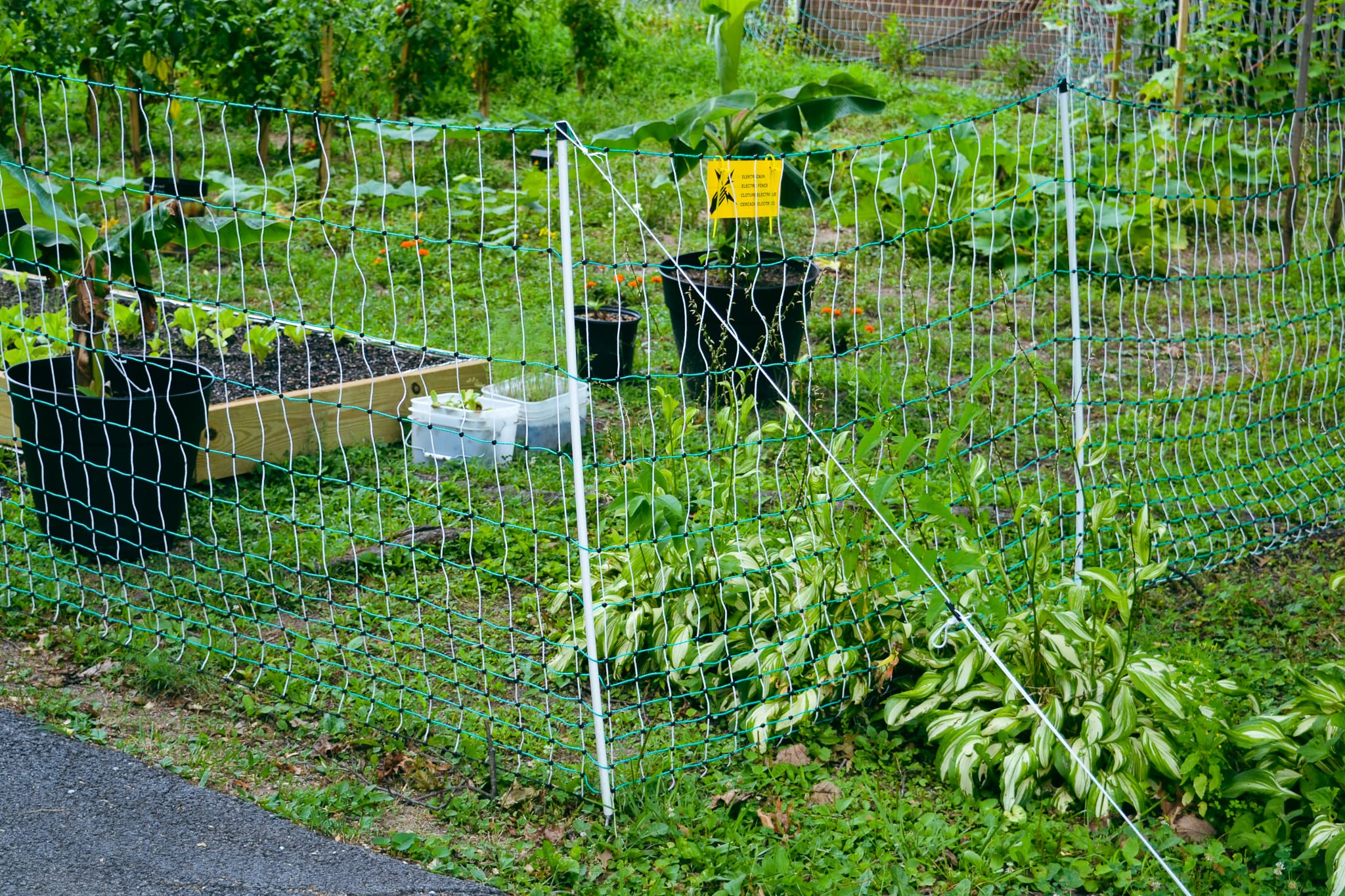RentACoop Electric Anti-Predator Poultry Fence - UZIS Sports